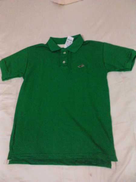 camisa polo hollister