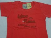 camisetas femenina hollister